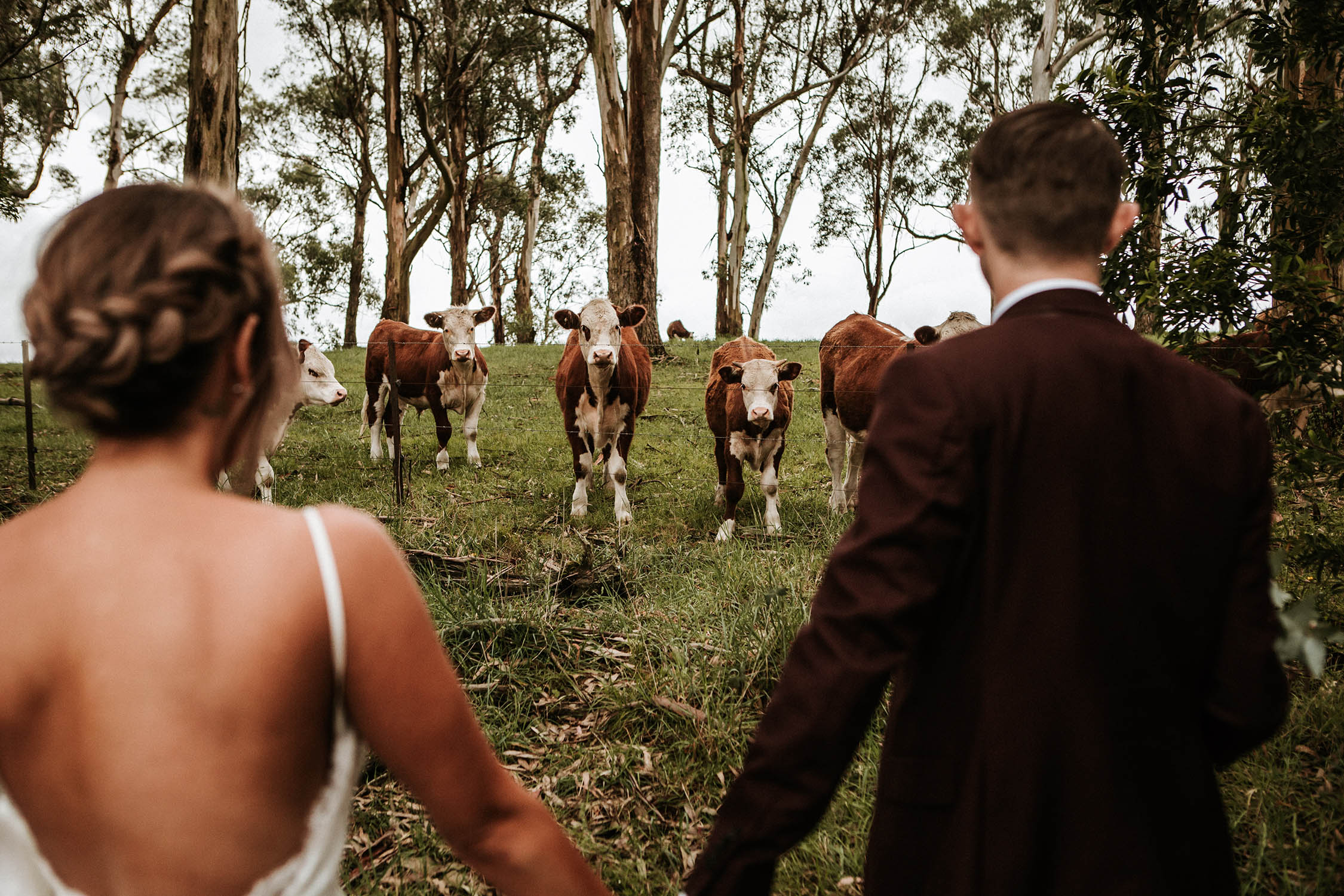 Chloe & Stephen | Mali Brae Wedding Southern Highlands